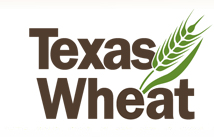 texas_wheat